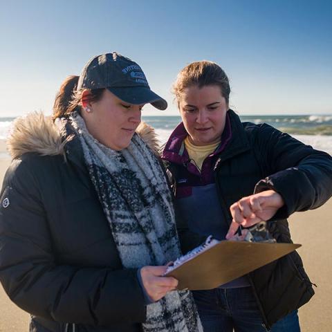 UNH ocean engineering students pointing at clipboard standing on beach